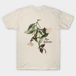 Hoya Lacunosa T-Shirt